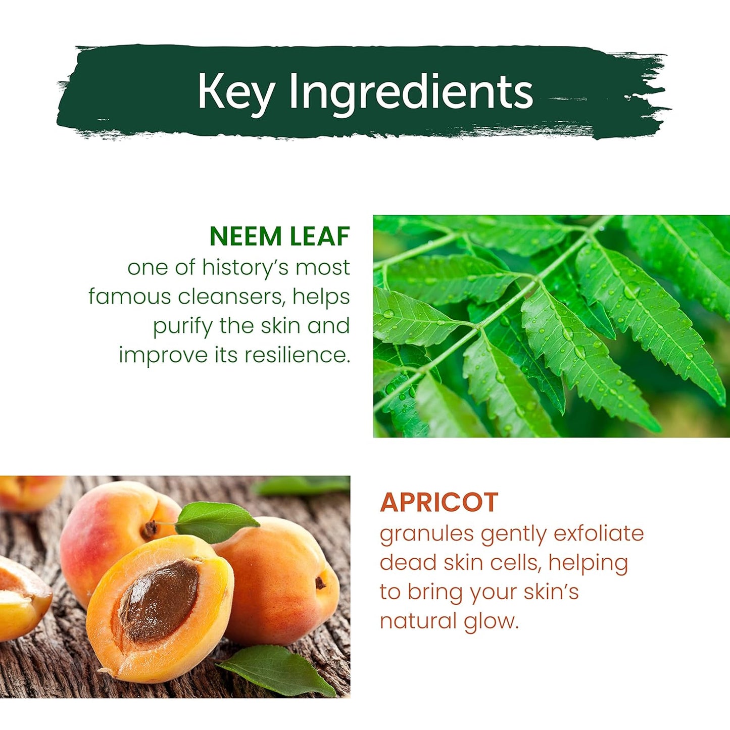 Himalaya Herbals Purifying Neem Scrub, 100gm