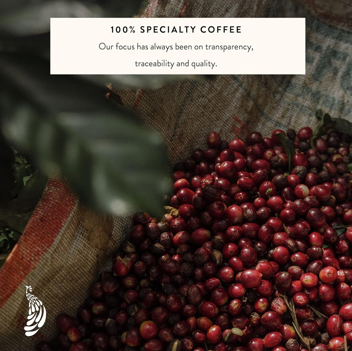 Blue Tokai Coffee Roasters French Roast - Dark Roast (French Press Grind) 250g