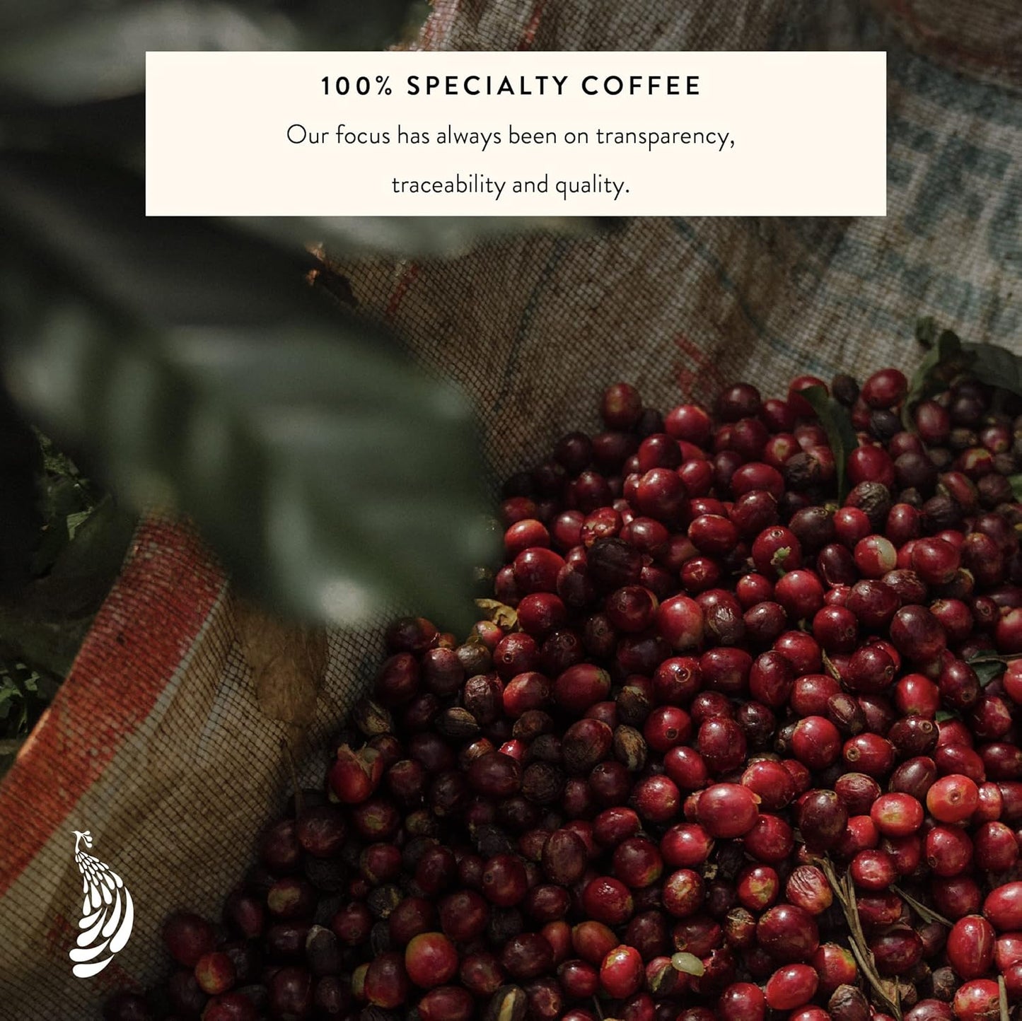 Blue Tokai Coffee Roasters Vienna Roast - Dark Roast ( French Press ) 250 g