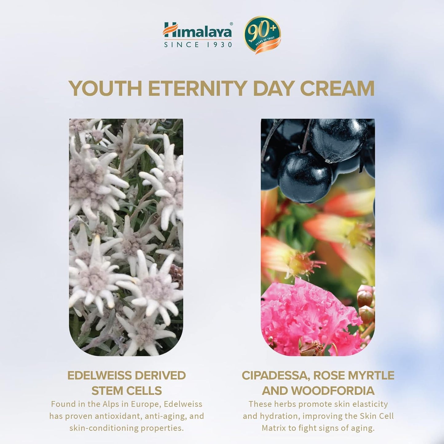 Himalaya Youth Eternity Day Cream, 50 ml