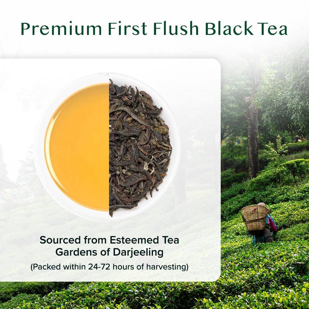 VAHDAM, First Flush Darjeeling Tea - 50+ Cups (100 g)